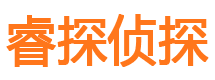 岭东市调查公司